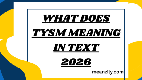 What Does tysm Meaning in Text