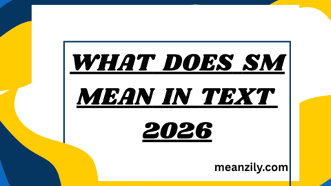 What Does SM Mean in Text