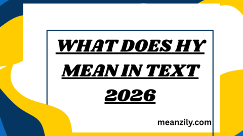 What Does HY Mean in Text
