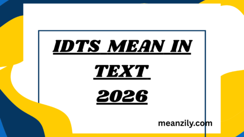 idts-mean-in-text