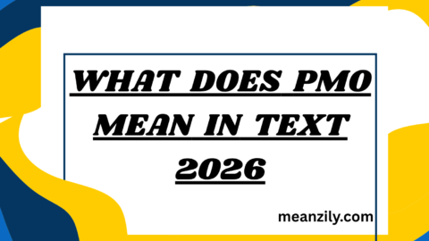 What Does PMO Mean in Text