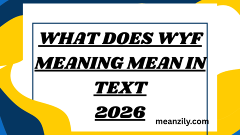 What Does WYF Meaning Mean in Text