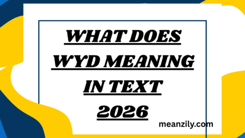 What Does Wyd Meaning in Text