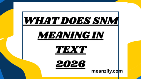 What Does SNM Meaning in Text