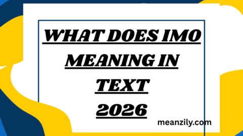 What Does IMO Meaning in Text