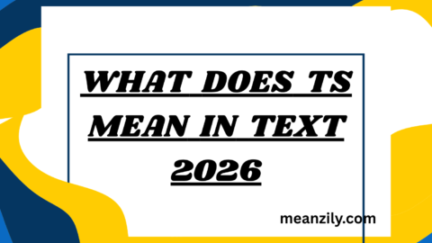 What Does TS Mean in Text
