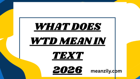 What Does WTD Mean in Text