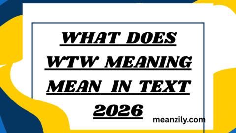 What Does WTW Meaning Mean in Text