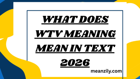 What Does WTV Meaning Mean in Text
