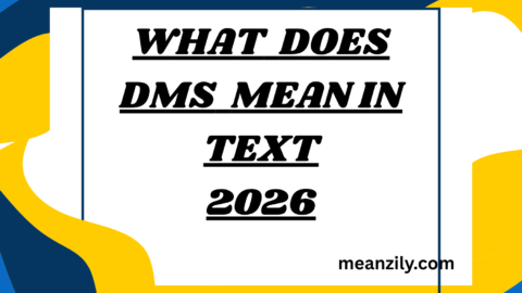 What Does DMS Mean in Text