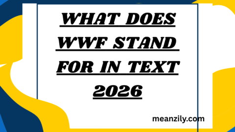 What Does WWF Stand For in Text