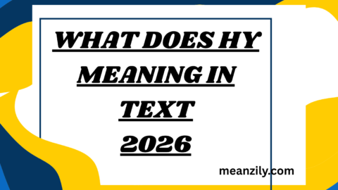 What Does hy Meaning in Text