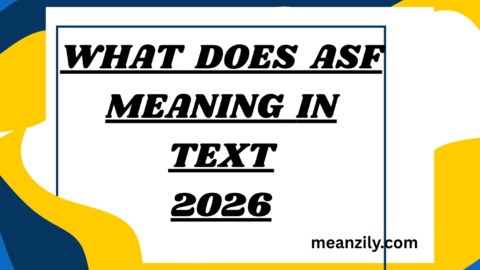 What Does ASF Meaning in Text