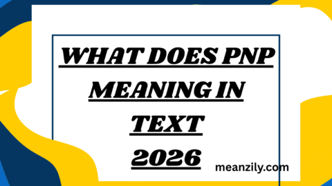 What Does PNP Meaning in Text