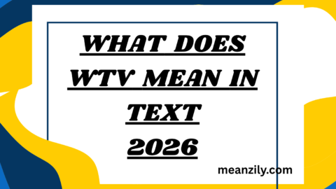 What Does WTV Mean in Text
