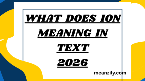 What Does ion Meaning in Text