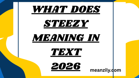 What Does Steezy Meaning in Text