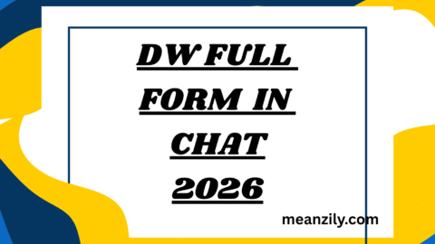 DW Full Form in Chat