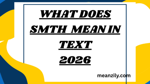 What Does smth Mean in Text