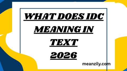 What Does idc Meaning in Text