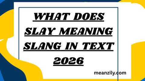 What Does Slay Meaning Slang in Text