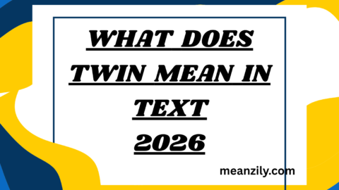 What Does Twin Mean in Text