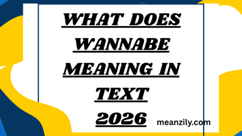 What Does Wannabe Meaning in Text