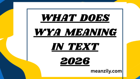 What Does wya Meaning in Text