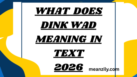 What Does Dinkwad Meaning in Text