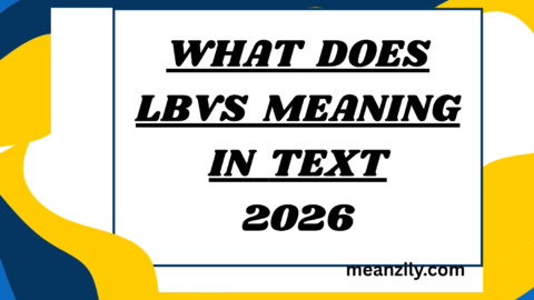 What Does lbvs Meaning in Text