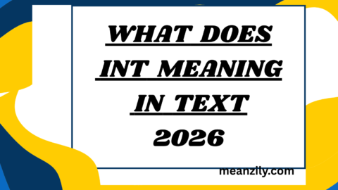 What Does INT Meaning in Text