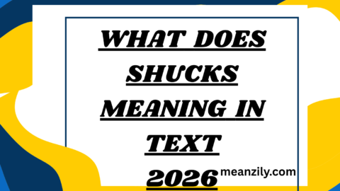 What Does Shucks Meaning in Text