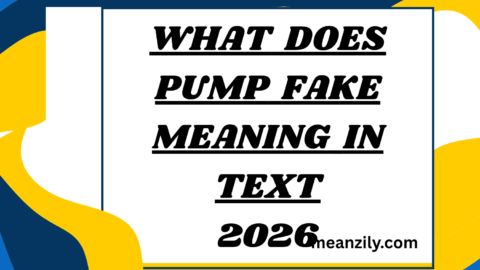 What Does Pump Fake Meaning in Text