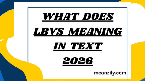 What Does LBVS Meaning in Text