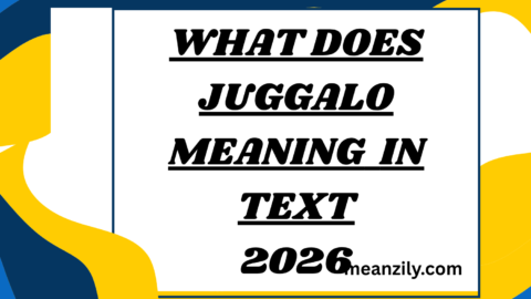 What Does Juggalo Meaning in Text