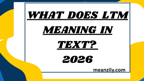 What Does LTM Meaning in Text?