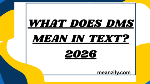 What Does DMS Mean in Text?