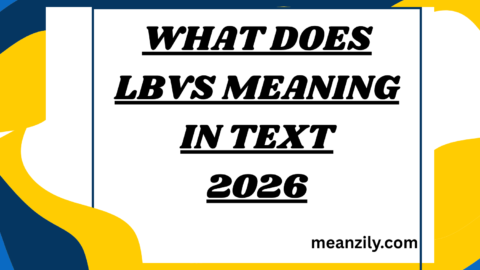 What Does LBVS Meaning in Text