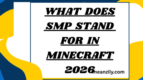 What Does SMP Stand for in Minecraft