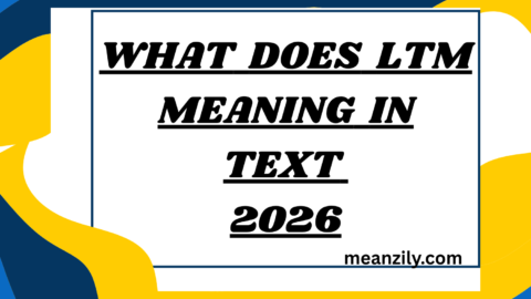 What Does LTM Meaning in Text