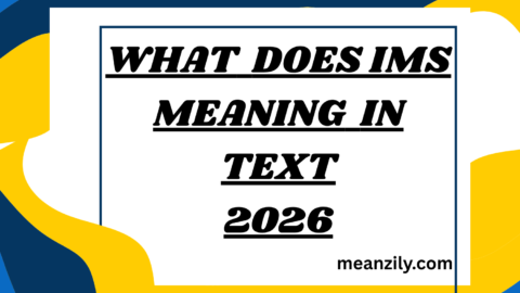 What Does IMS Meaning in Text