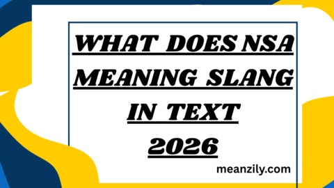What Does NSA Meaning Slang in Text