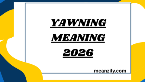 Yawning Meaning