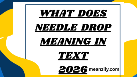What Does Needle Drop Meaning in Text