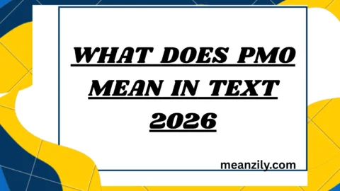 What Does PMO Mean in Text?