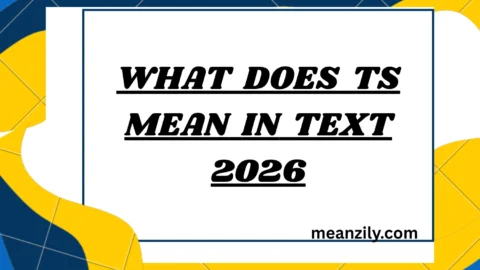 What Does TS Mean in Text
